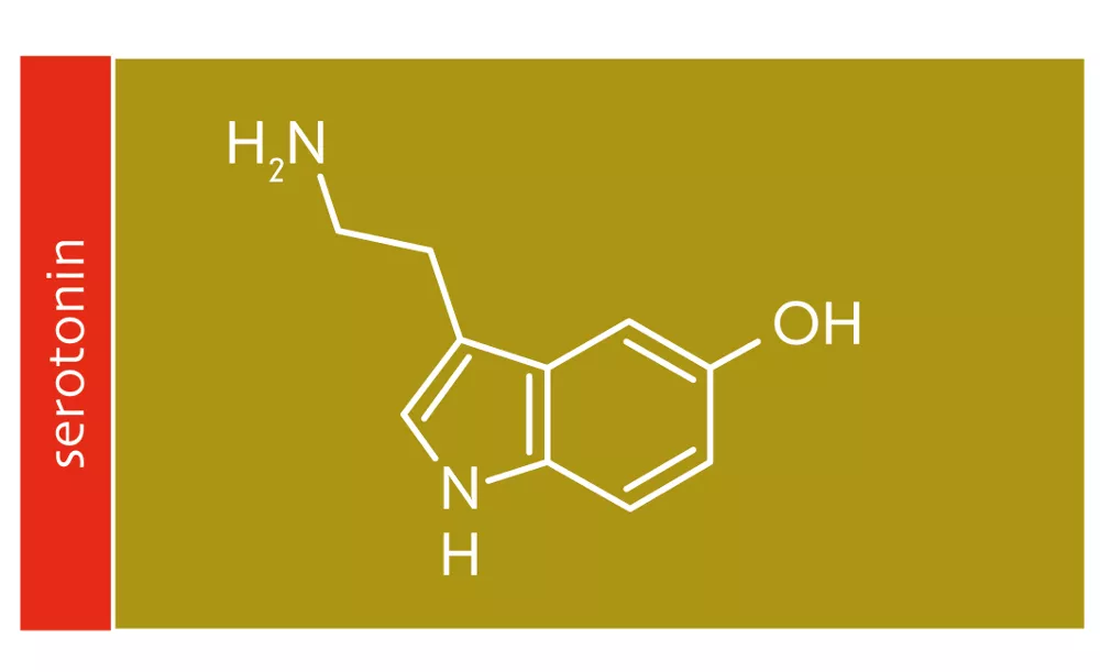  Serotonin góp phần mang lại cảm giác vui vẻ và hạnh phúc